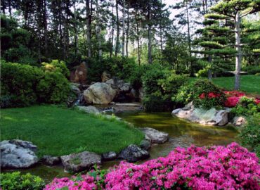 Sustainable Landscape Garden Design(5)